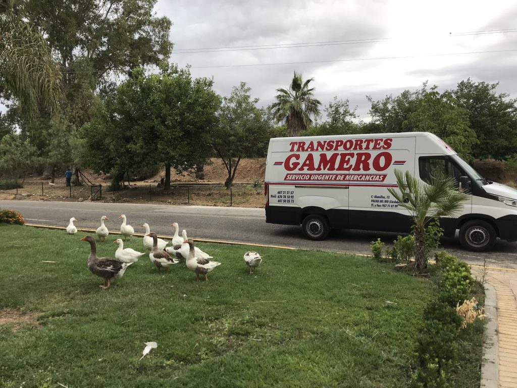 eab7a3b9 5973 497f a8a7 691640ba6e9f